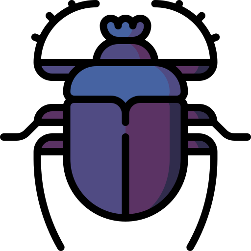 Beetle