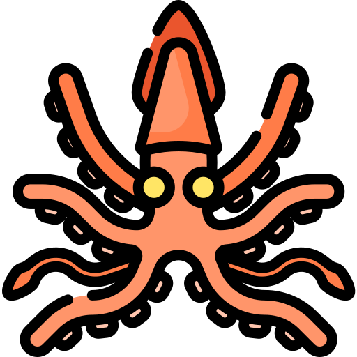 Squid